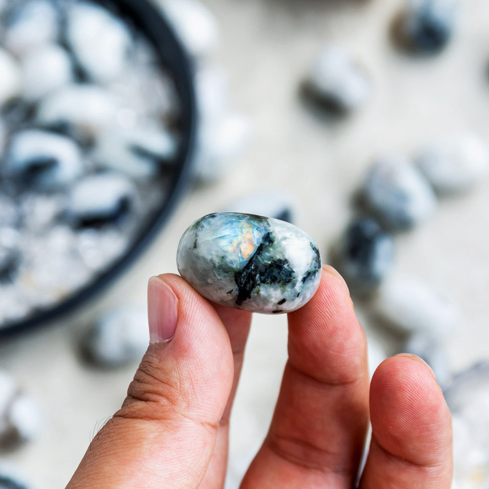 Reikistal Rainbow Moonstone Tumbled Stone