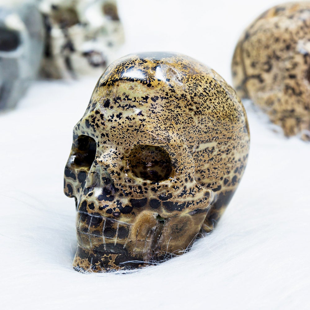 Reikistal Dendeitic Jasper Skull