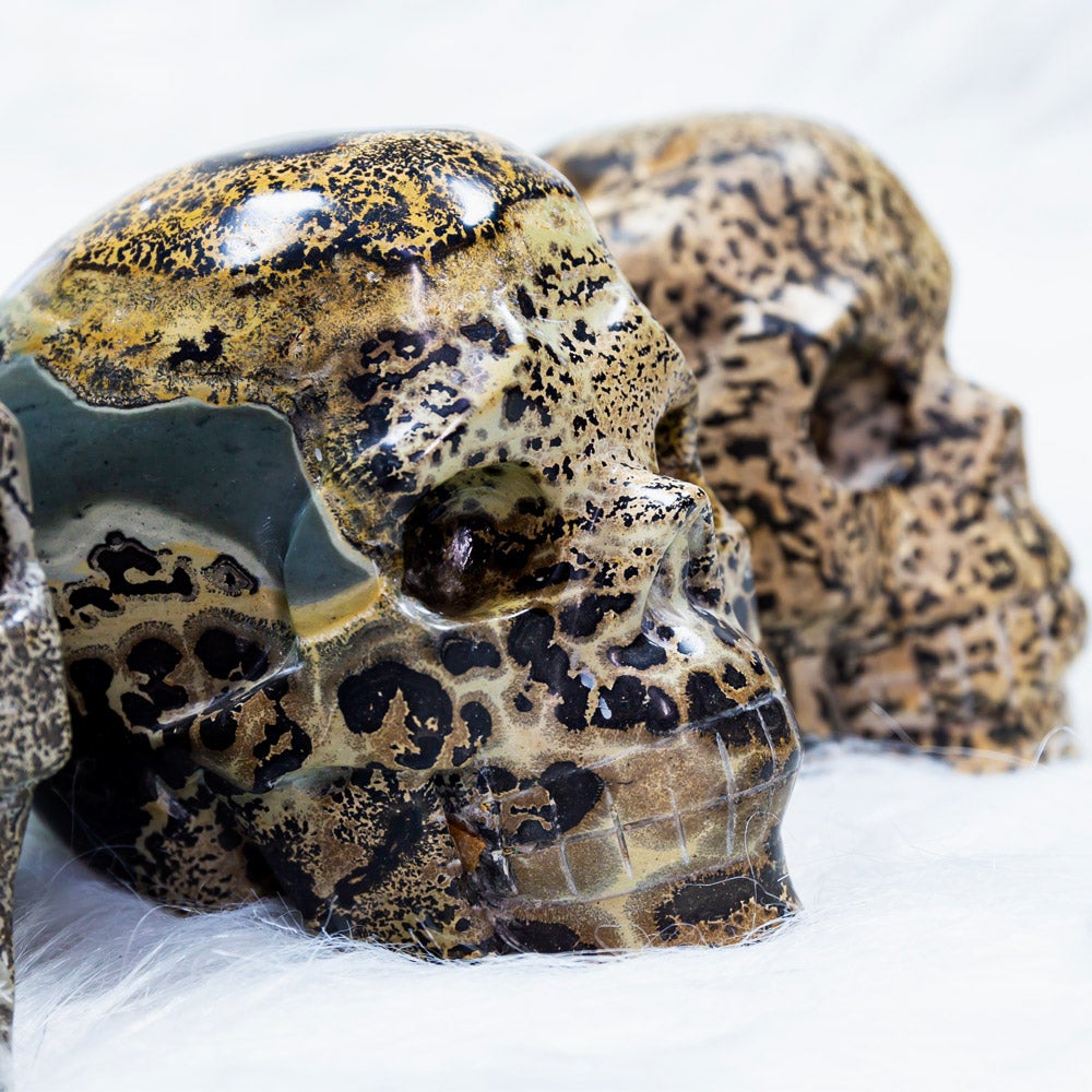 Reikistal Dendeitic Jasper Skull