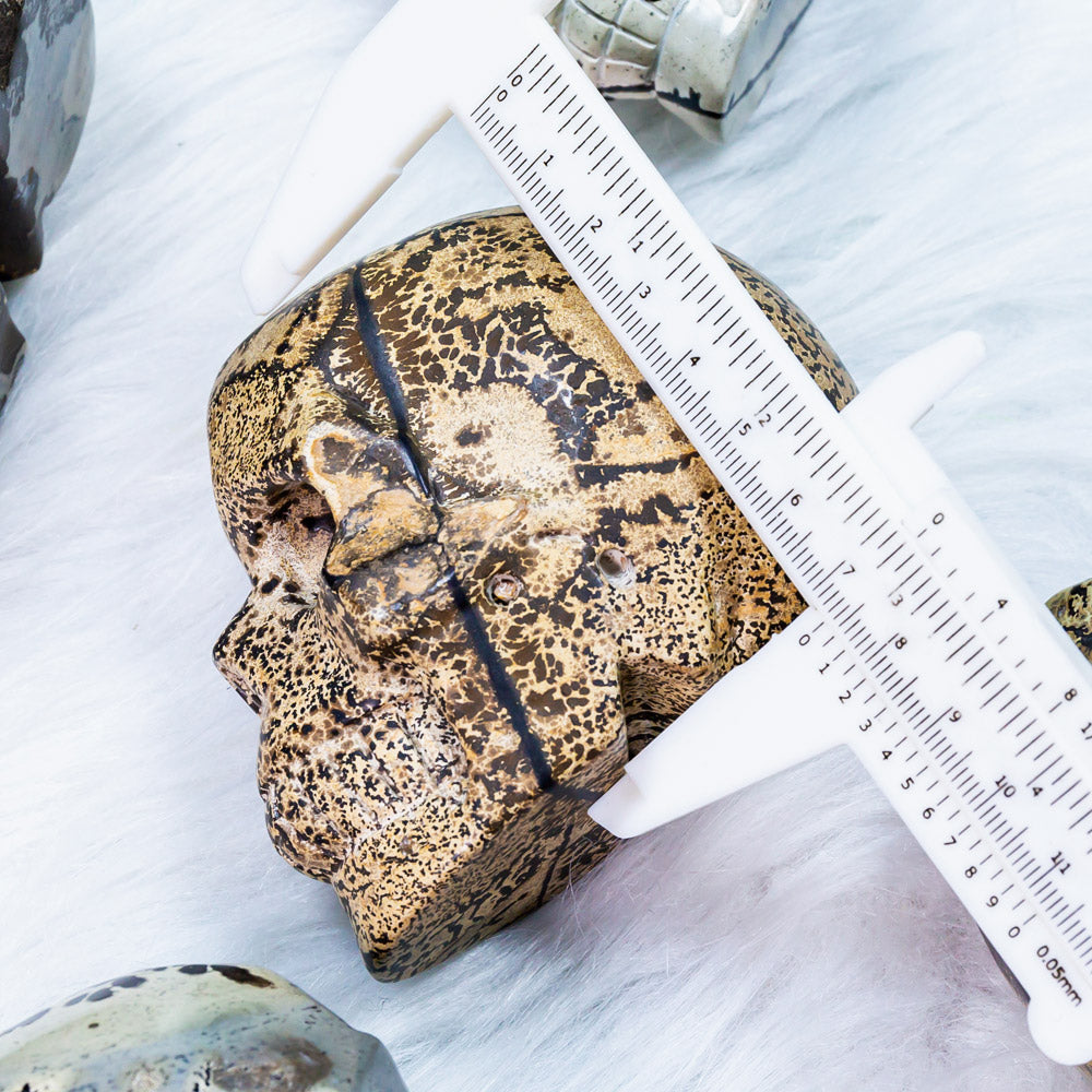 Reikistal Dendeitic Jasper Skull