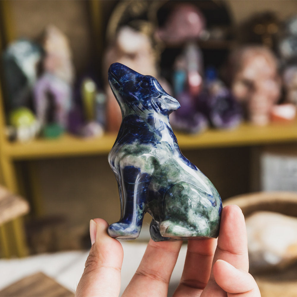 Reikistal Sodalite Wolf