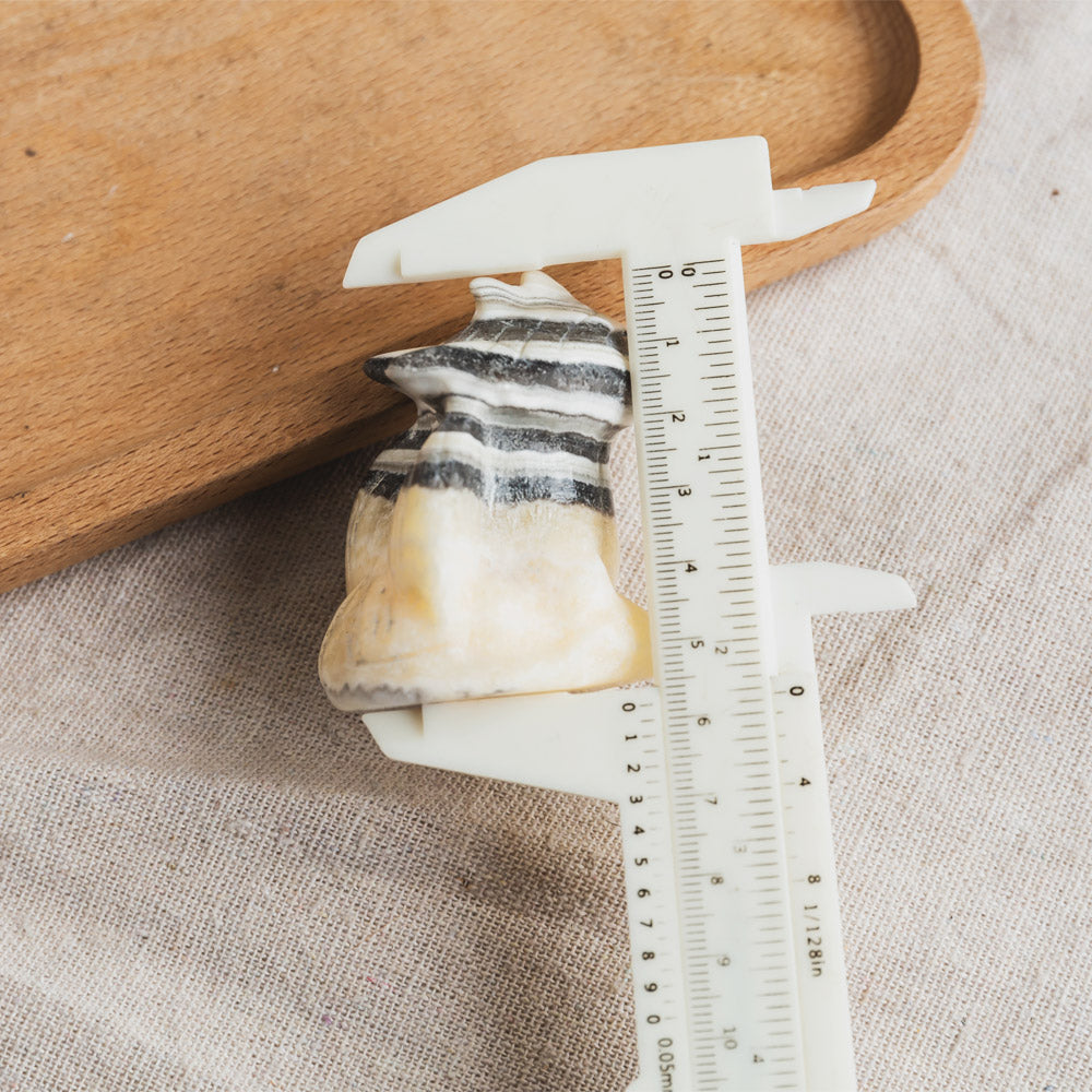 Reikistal Zebra Calcite Toothless
