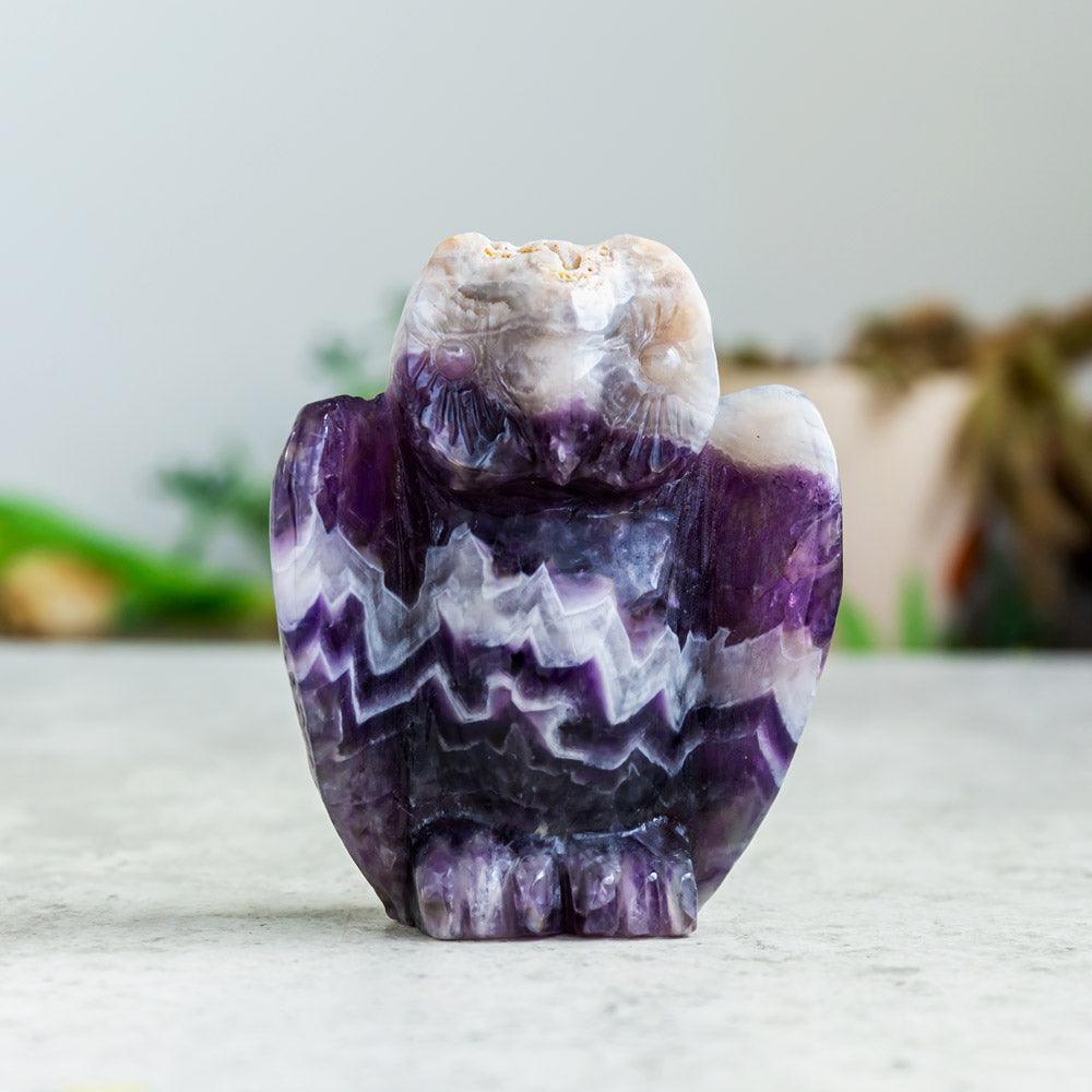 Dream amethyst owl - Reikilovecrystal