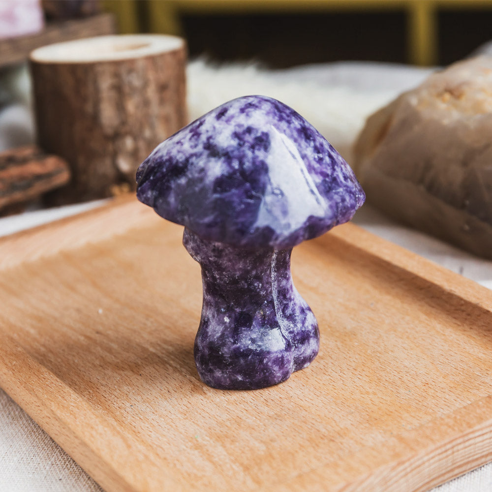 Reikistal Lepidolite Mushroom Body