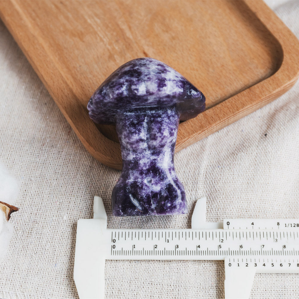 Reikistal Lepidolite Mushroom Body