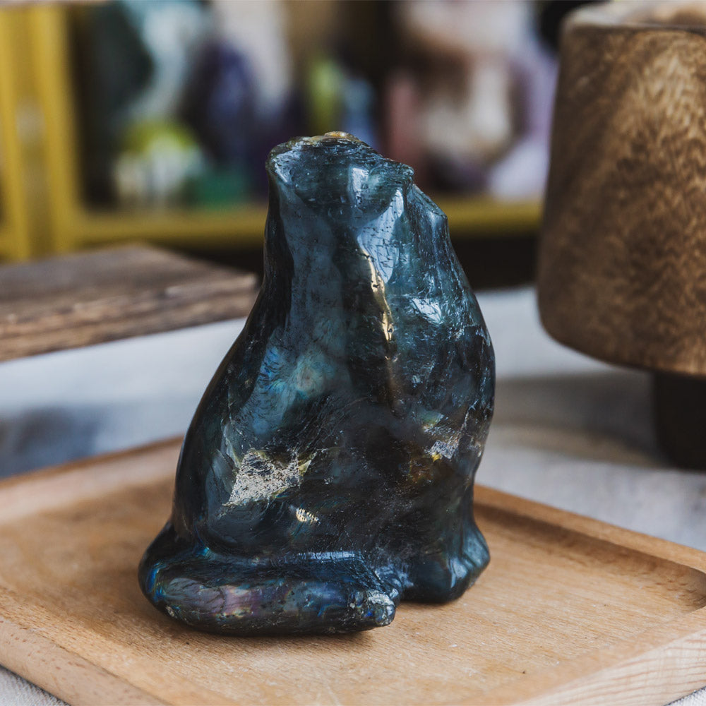 Reikistal Labradorite Cat