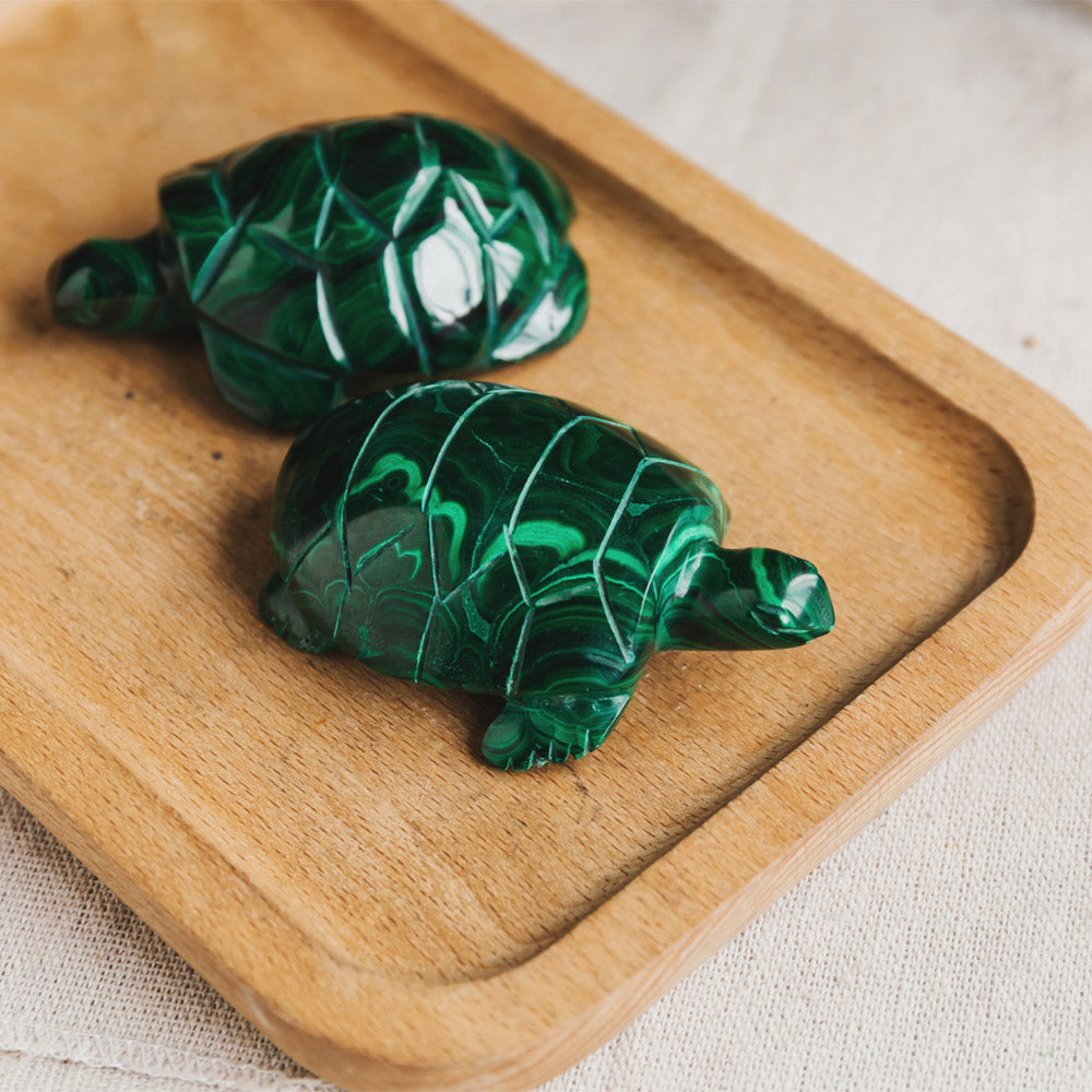 Reikistal Malachite Turtle