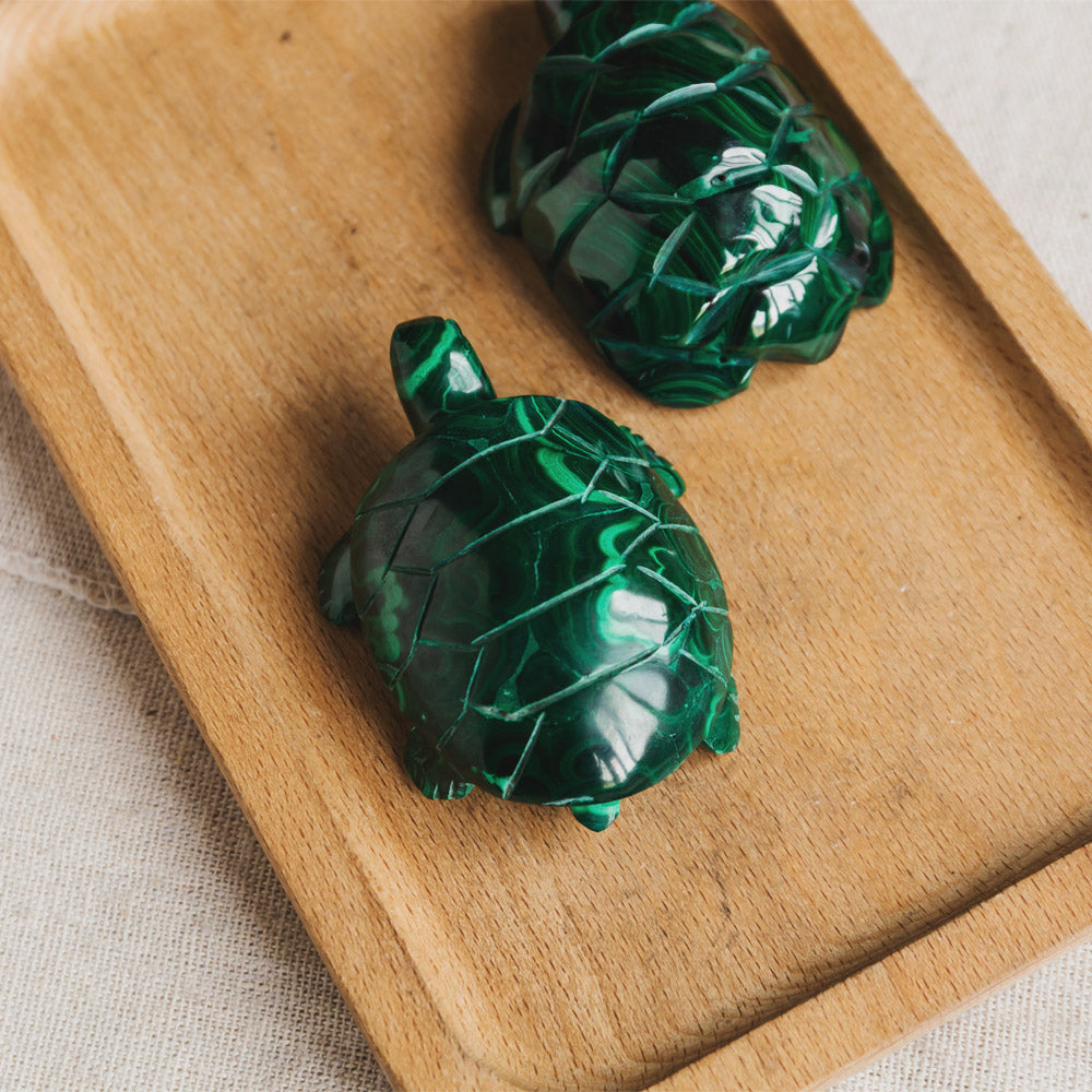 Reikistal Malachite Turtle