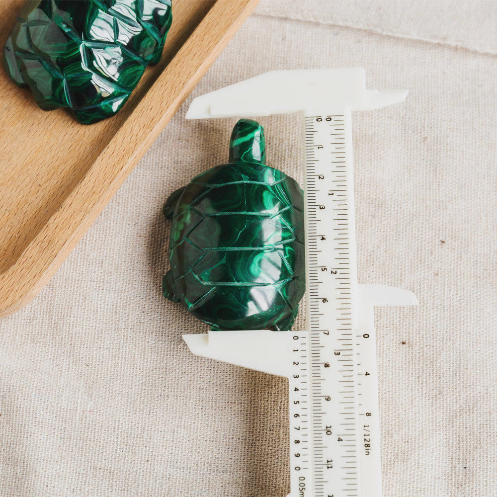 Reikistal Malachite Turtle