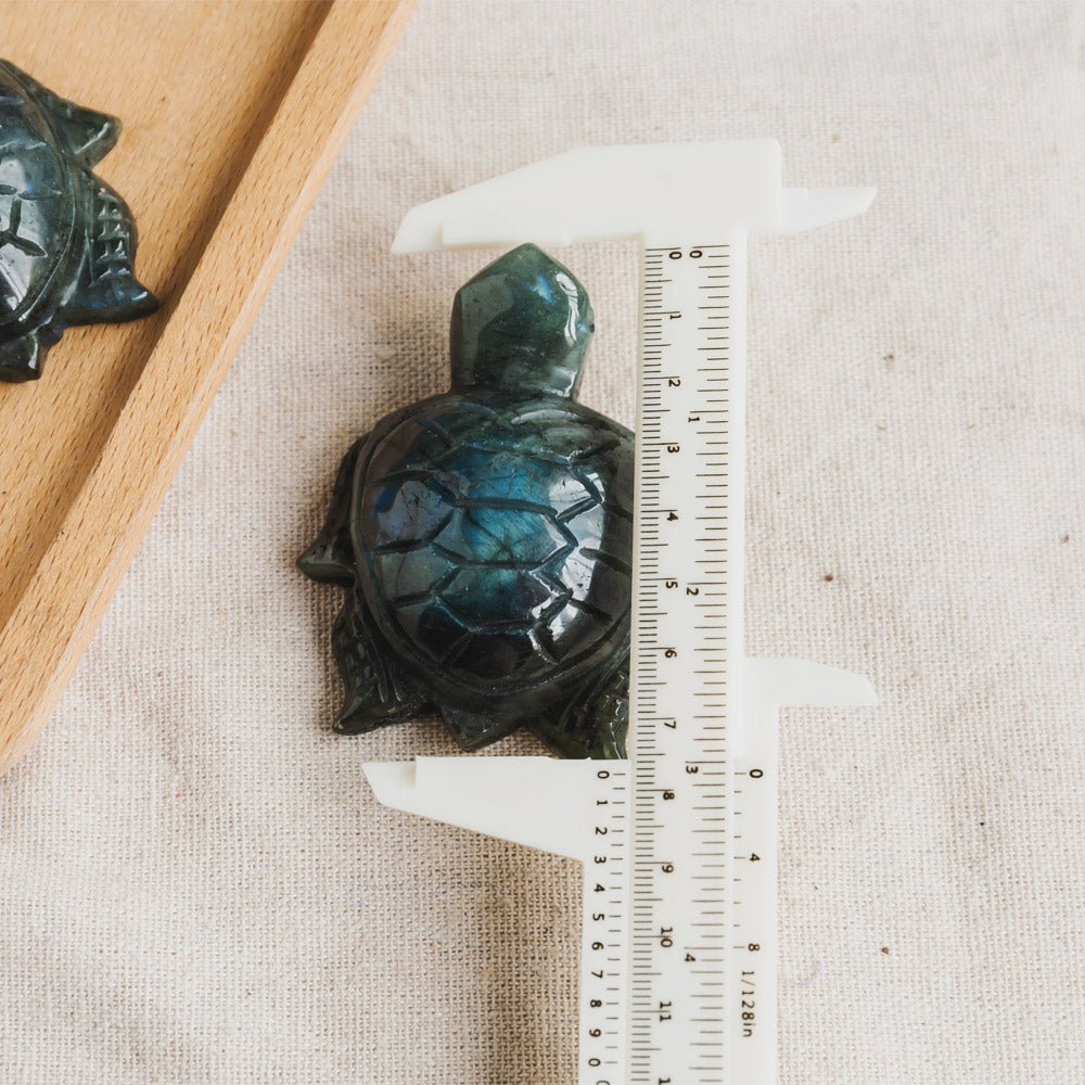 Reikistal Labradorite Turtle