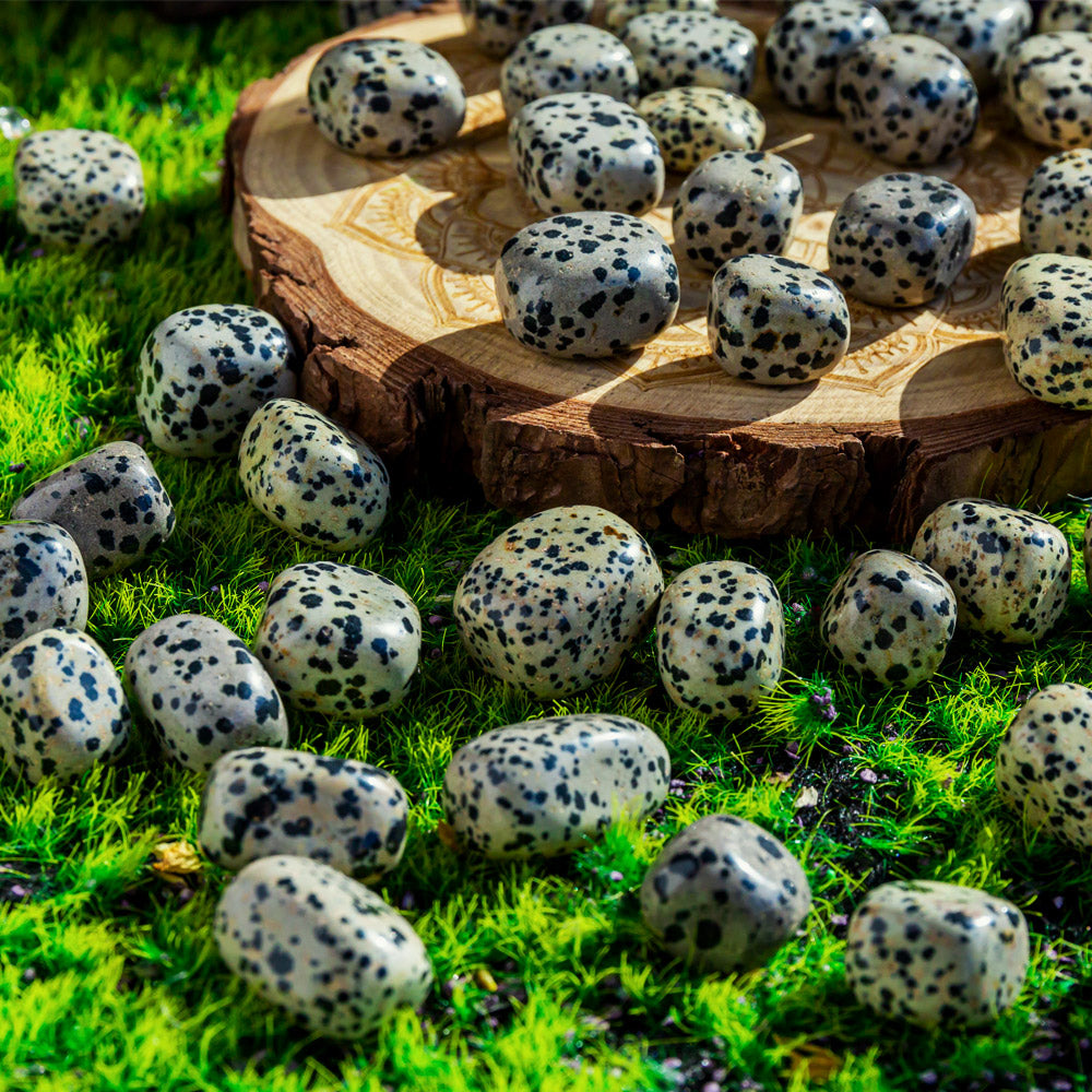 Reikistal Dalmatian Jasper Cube