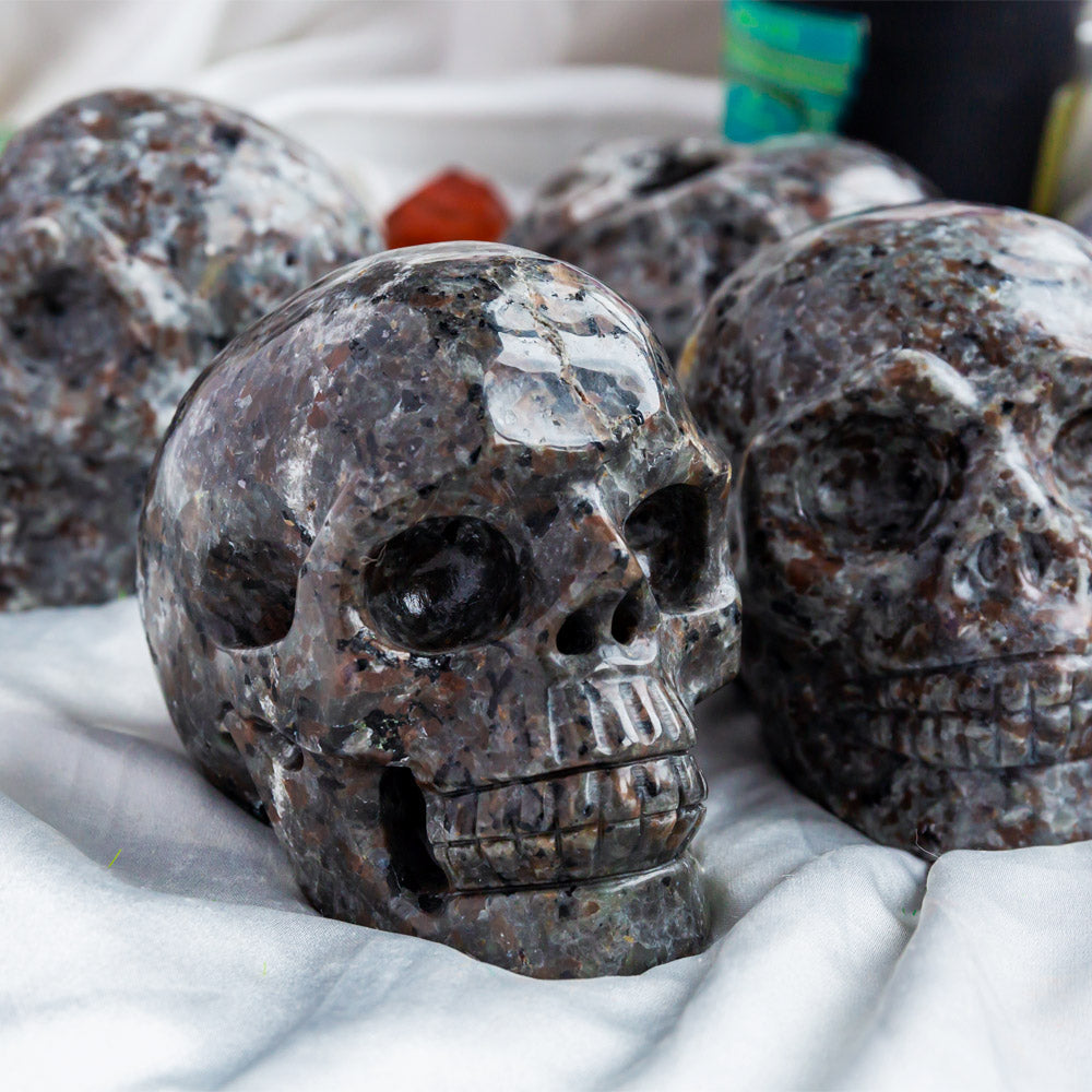 Reikistal Yooperlite Skull