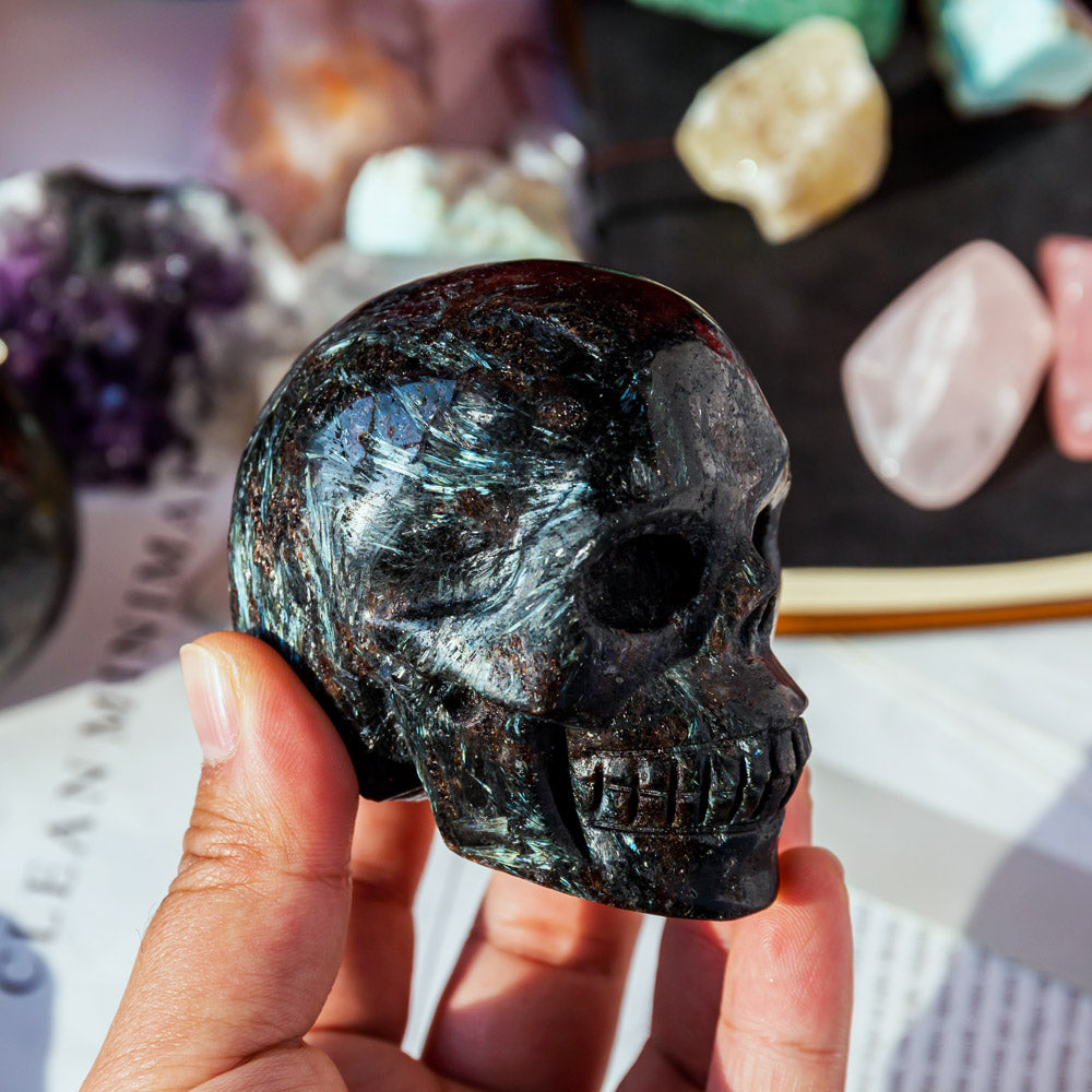 Reikistal Astrophyllite With Garnet Skull