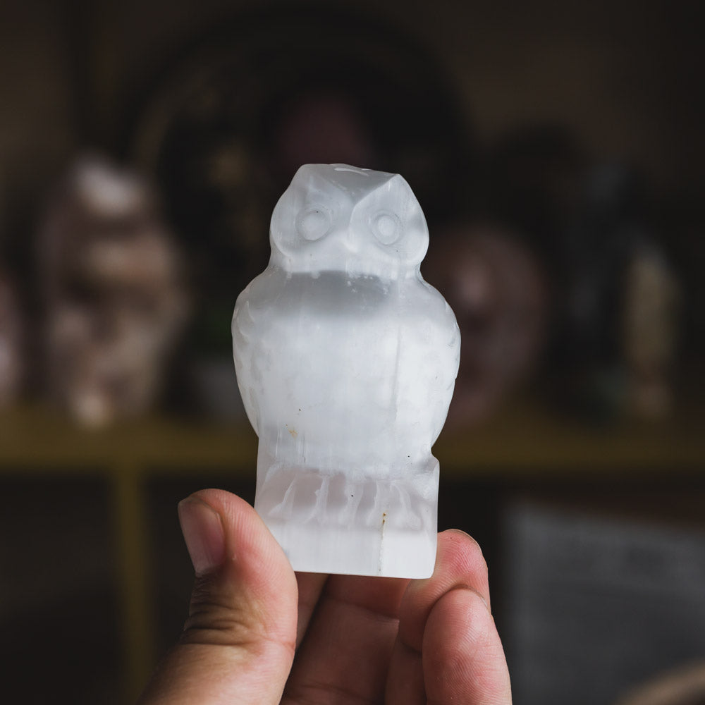 Reikistal Selenite Owl