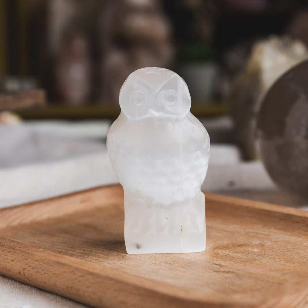 Reikistal Selenite Owl