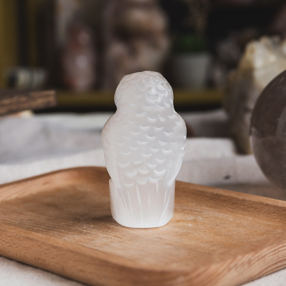 Reikistal Selenite Owl