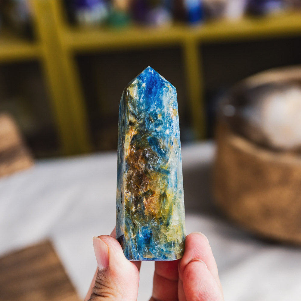 Reikistal Kyanite Point