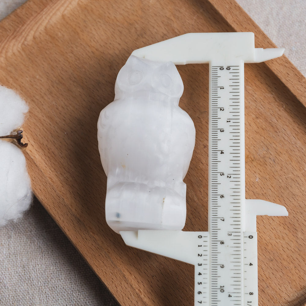Reikistal Selenite Owl