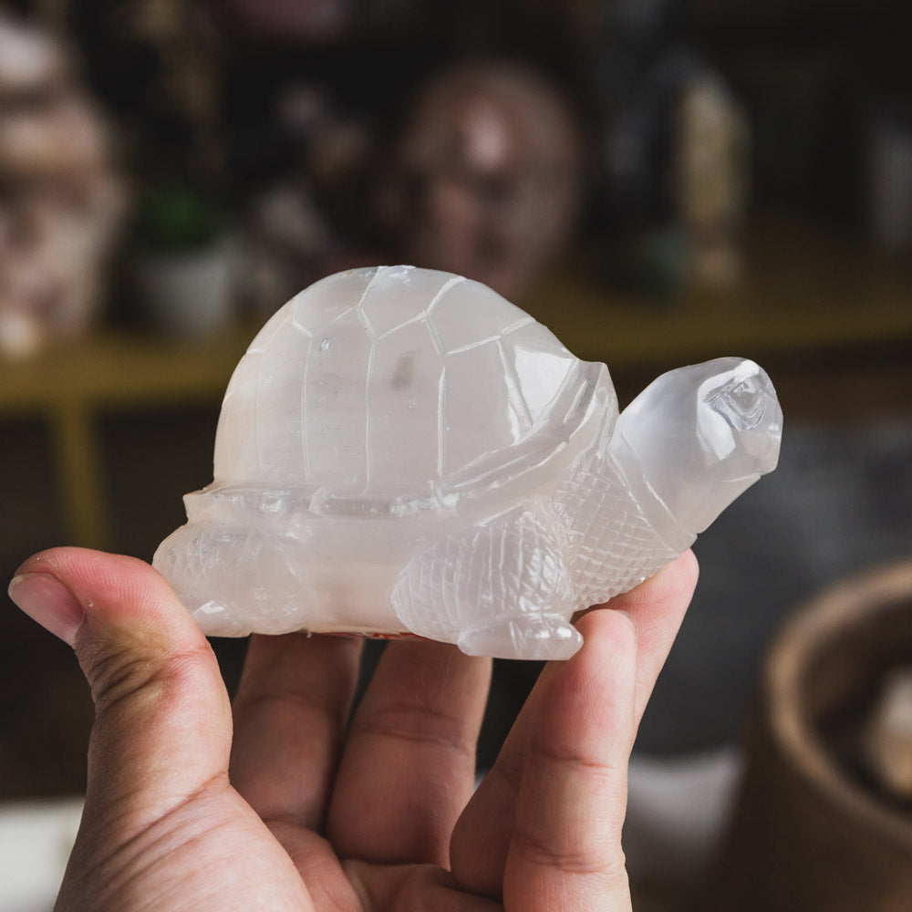 Reikistal Selenite Turtle