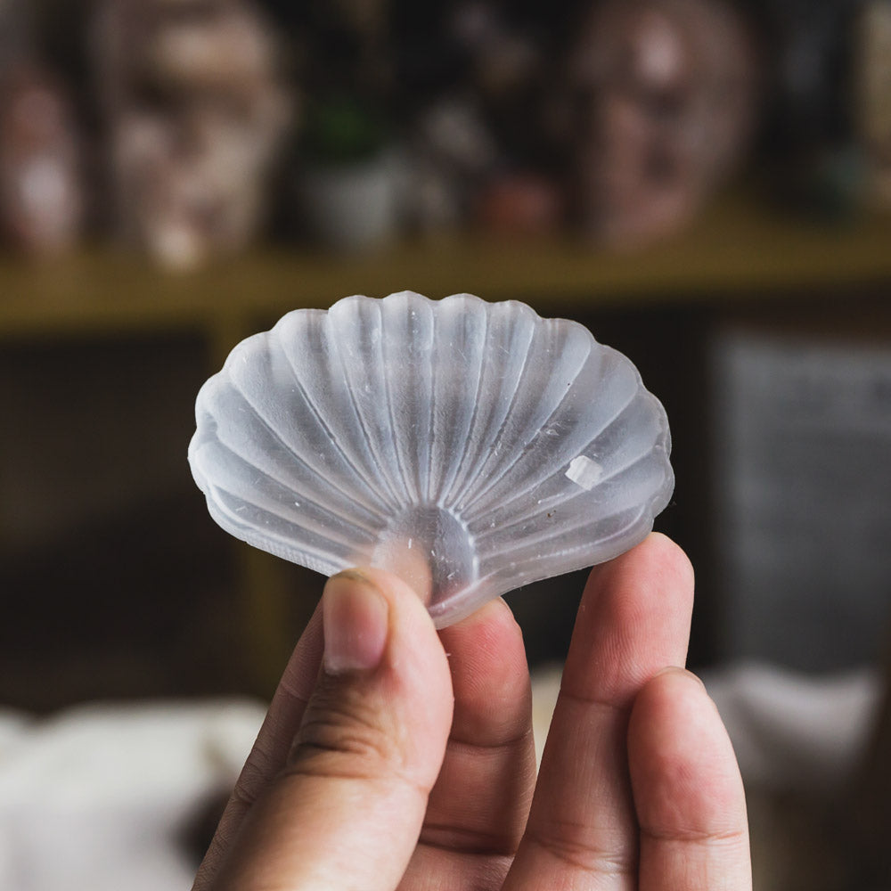 Reikistal Selenite Conch