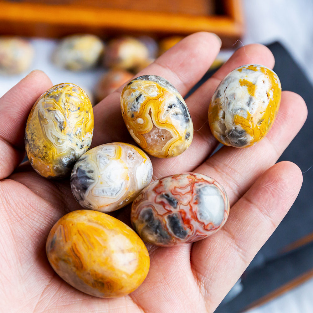 Reikistal Crazy Lace Agate Tumbled Stone
