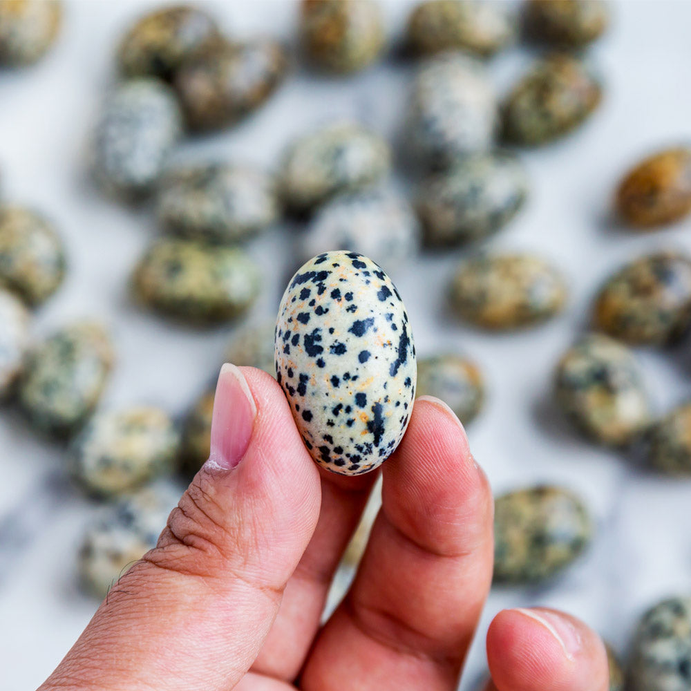 Reikistal Dalmatian Jasper Tumbled Stone