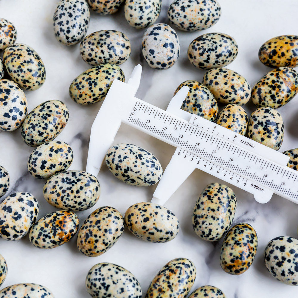 Reikistal Dalmatian Jasper Tumbled Stone