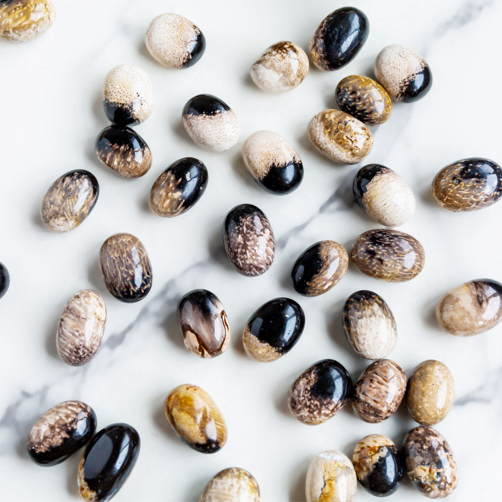 Reikistal Palm Root Tumbled Stone