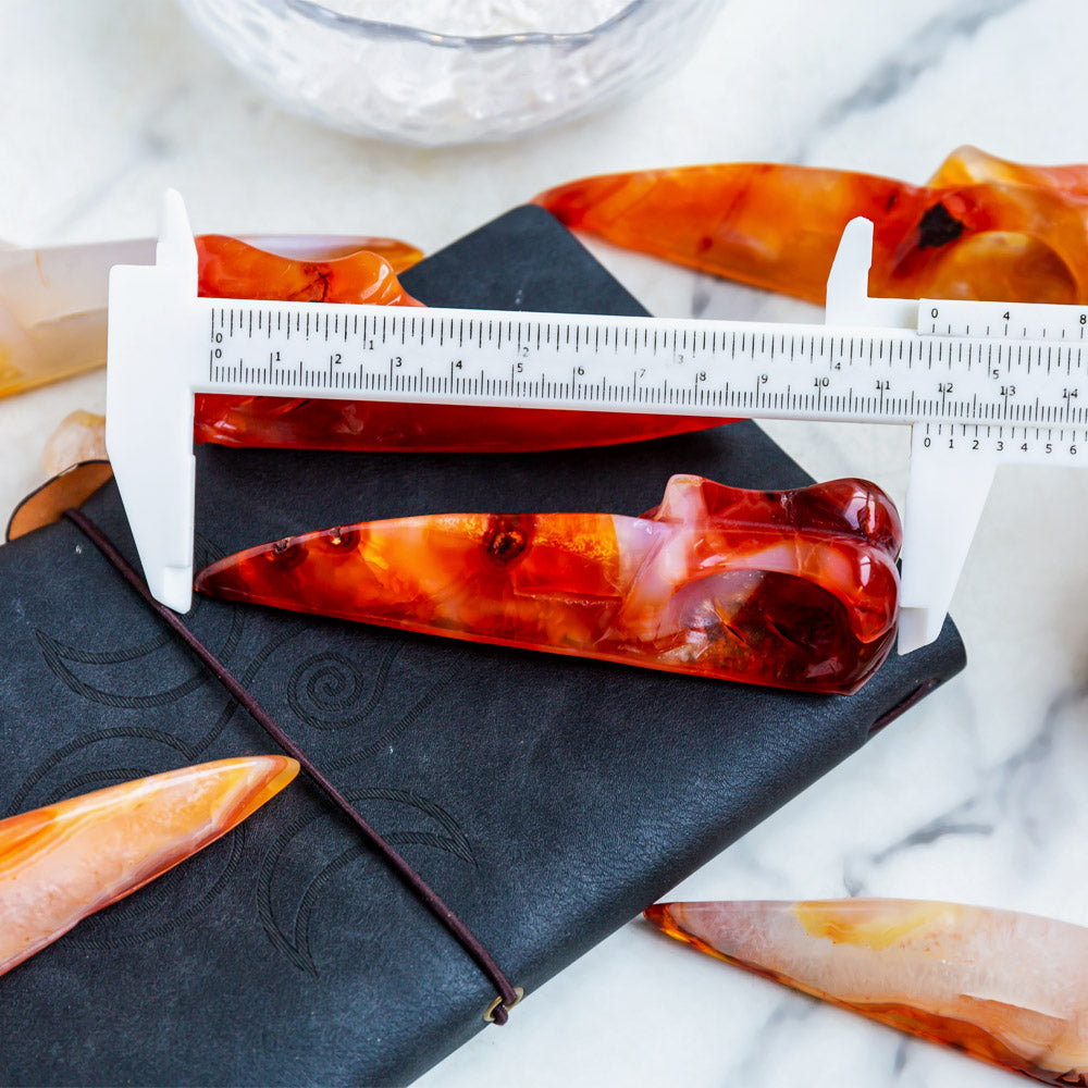 Reikistal Carnelian Raven Skull