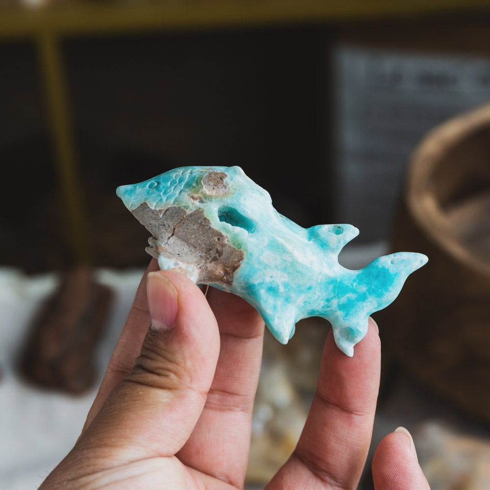 Reikistal Blue Aragonite Shark