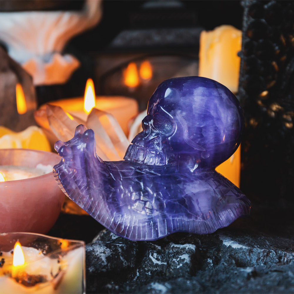 Reikistal Fluorite Skull With Snail