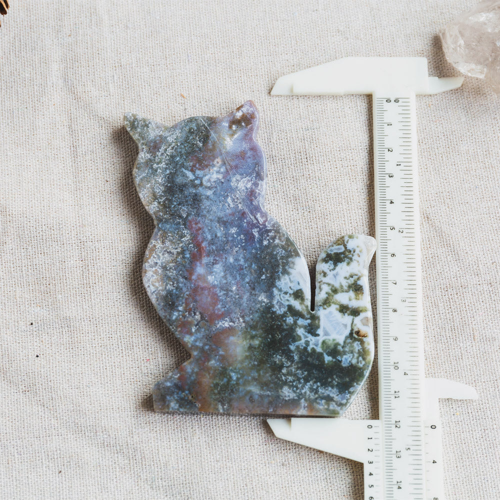 Reikistal Ocean Jasper Cat Slice