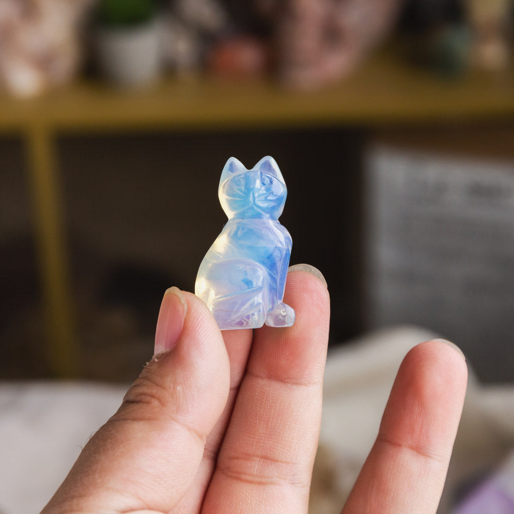 Reikistal Opal Cat