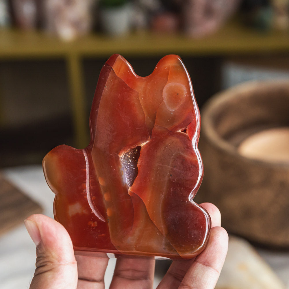 Reikistal Druzy Agate Cat Slice