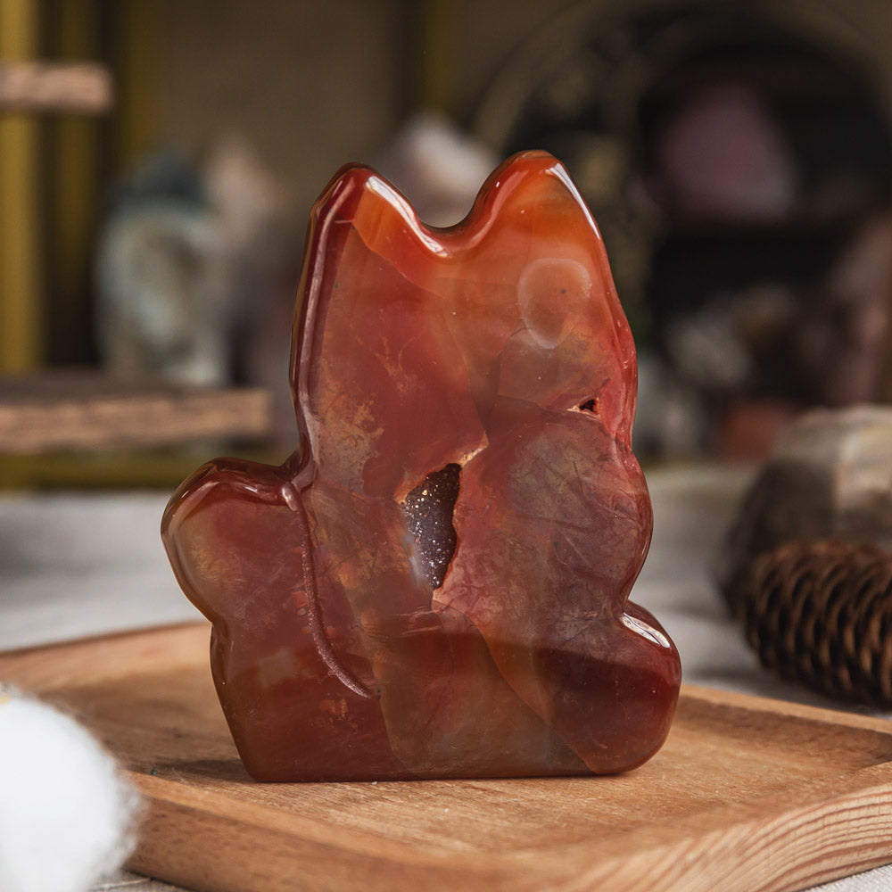 Reikistal Druzy Agate Cat Slice