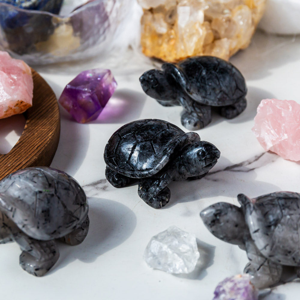 Reikistal Black Tourmaline In Clear Quartz Turtle