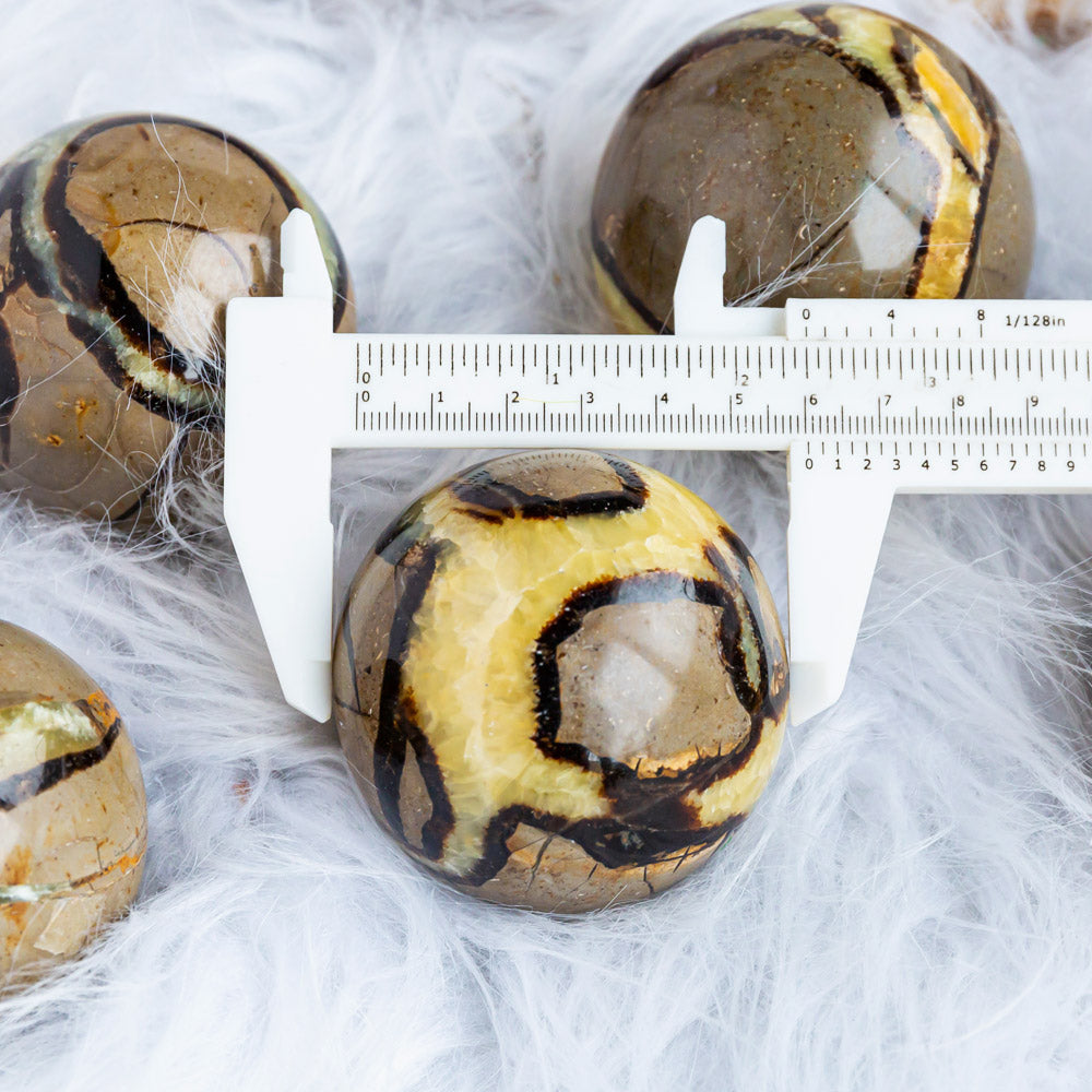 Reikistal Septarian Sphere