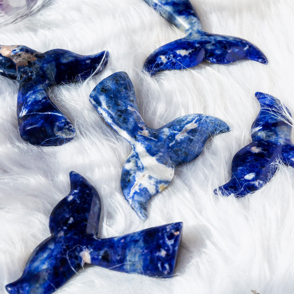 Reikistal Sodalite Fish Tail