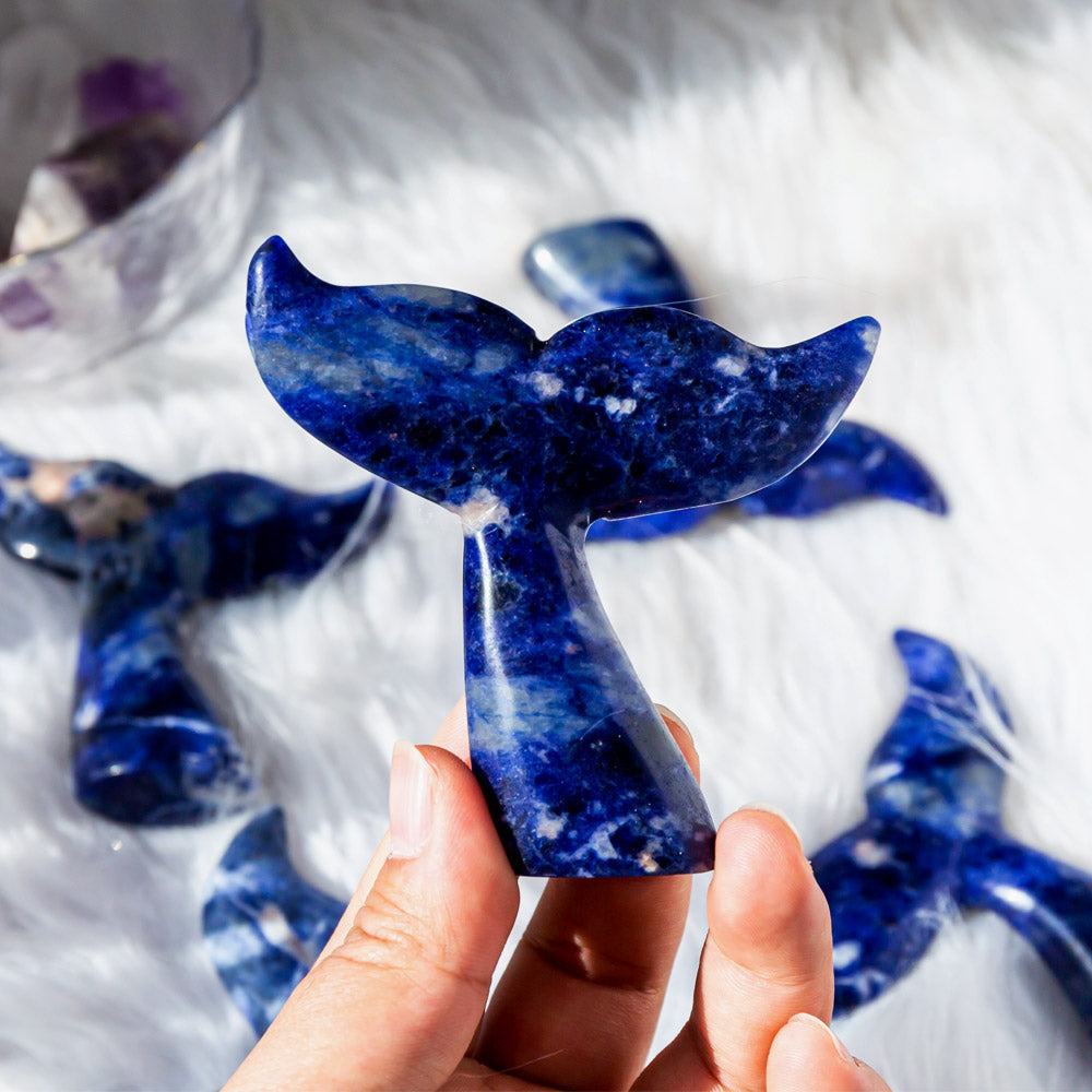 Reikistal Sodalite Fish Tail