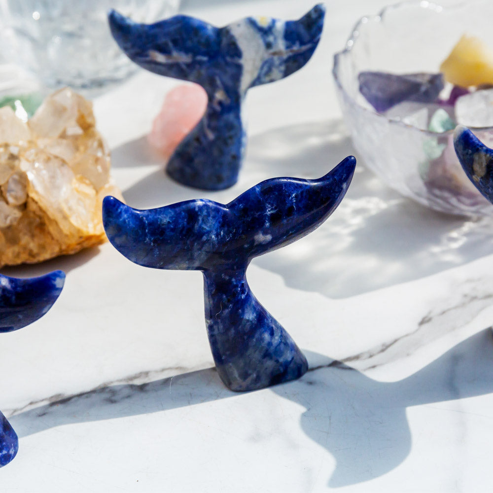 Reikistal Sodalite Fish Tail