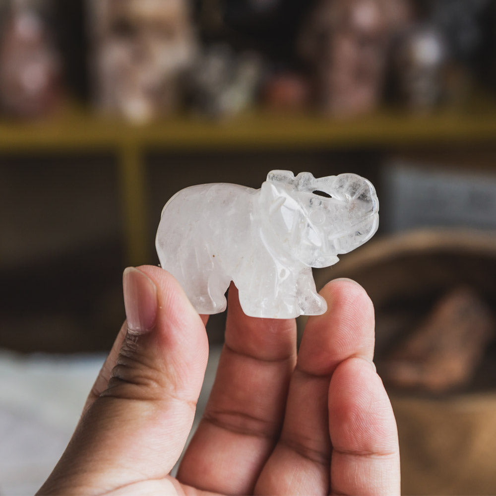 Reikistal 2" Clear Quartz Elephant