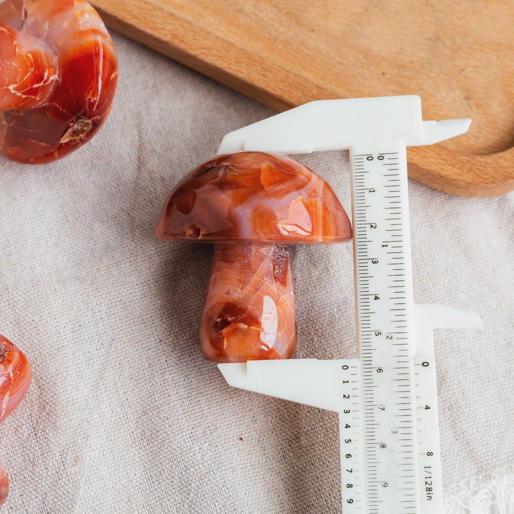 Reikistal Carnelian Mushroom