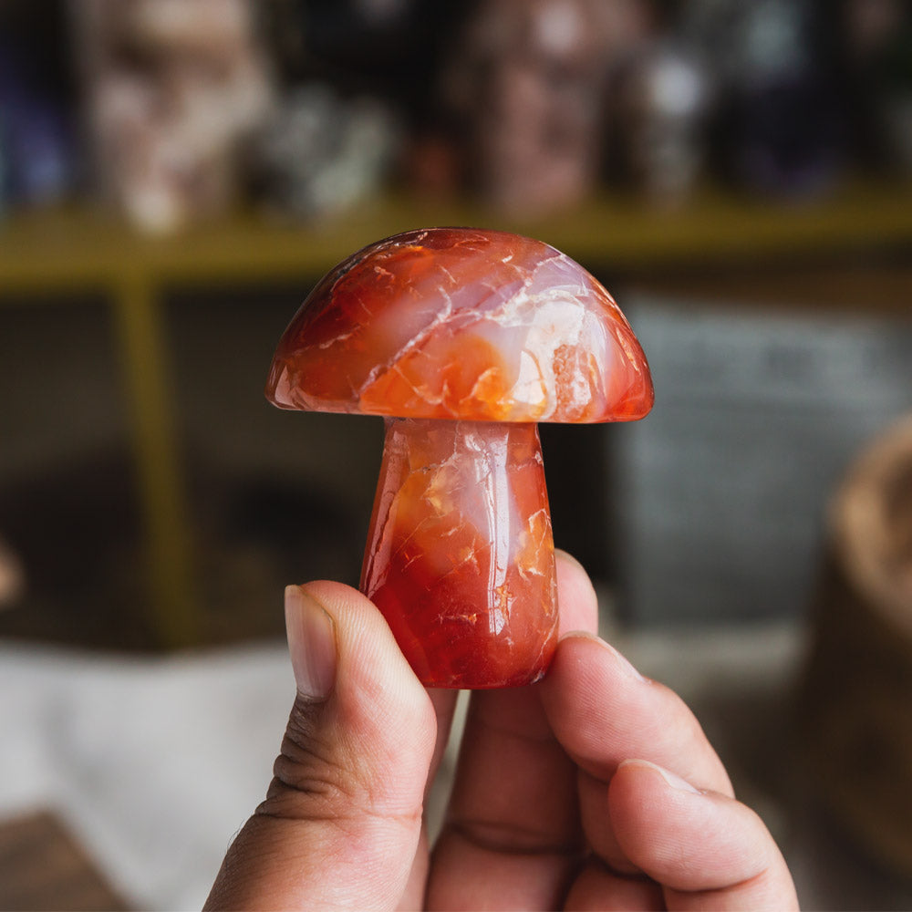 Reikistal Carnelian Mushroom