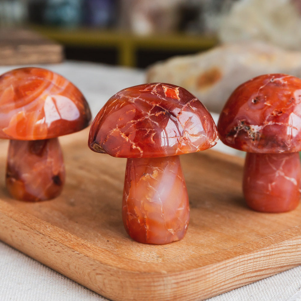 Reikistal Carnelian Mushroom