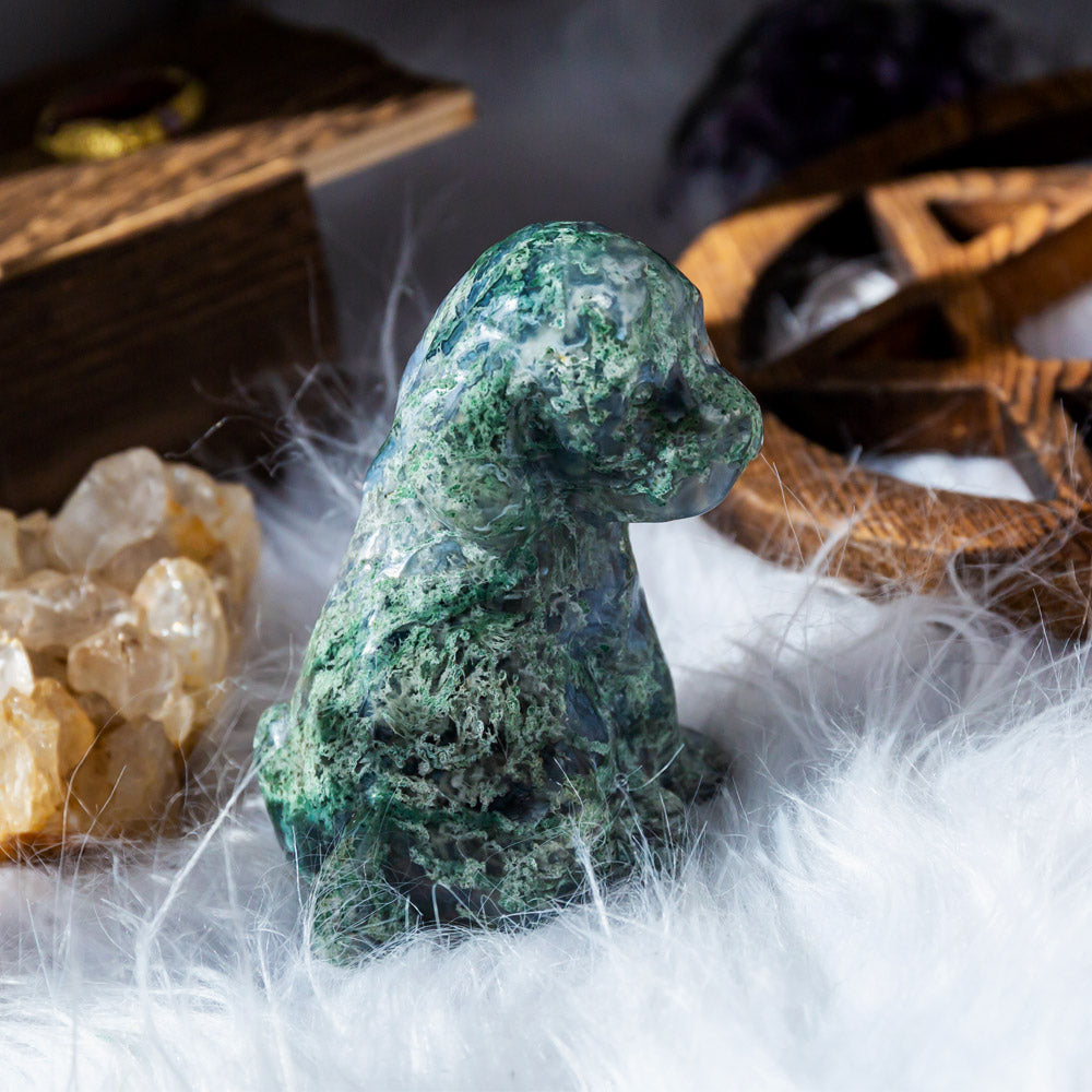 Reikistal Moss Agate Dog