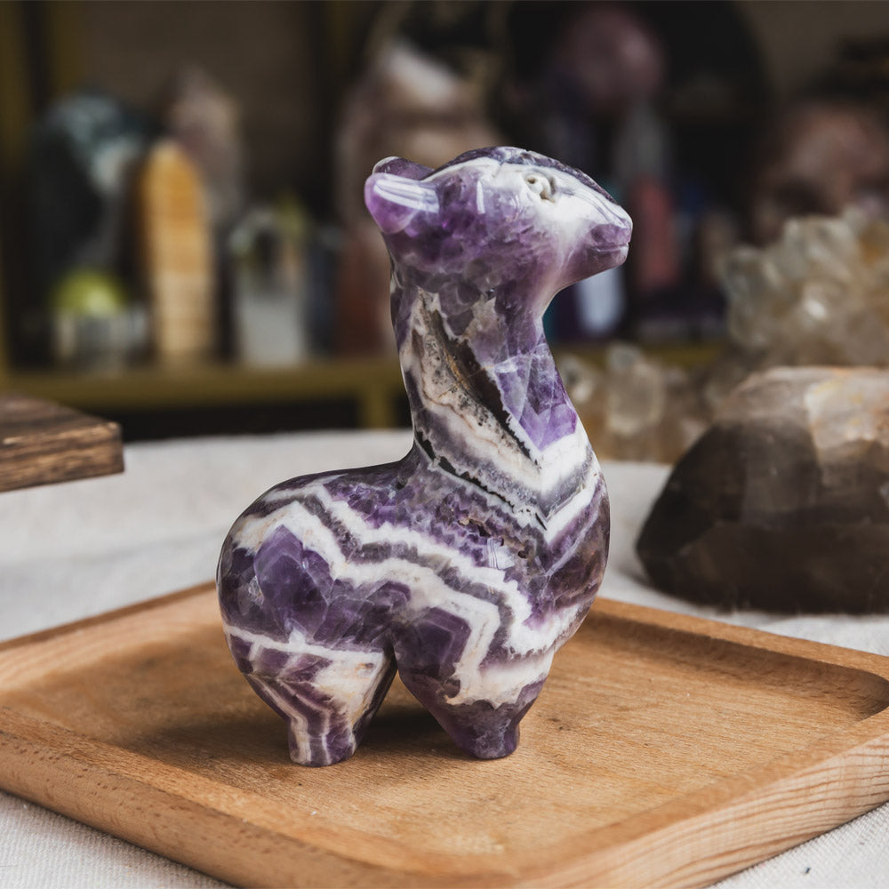 Reikistal Dream Amethyst Llama