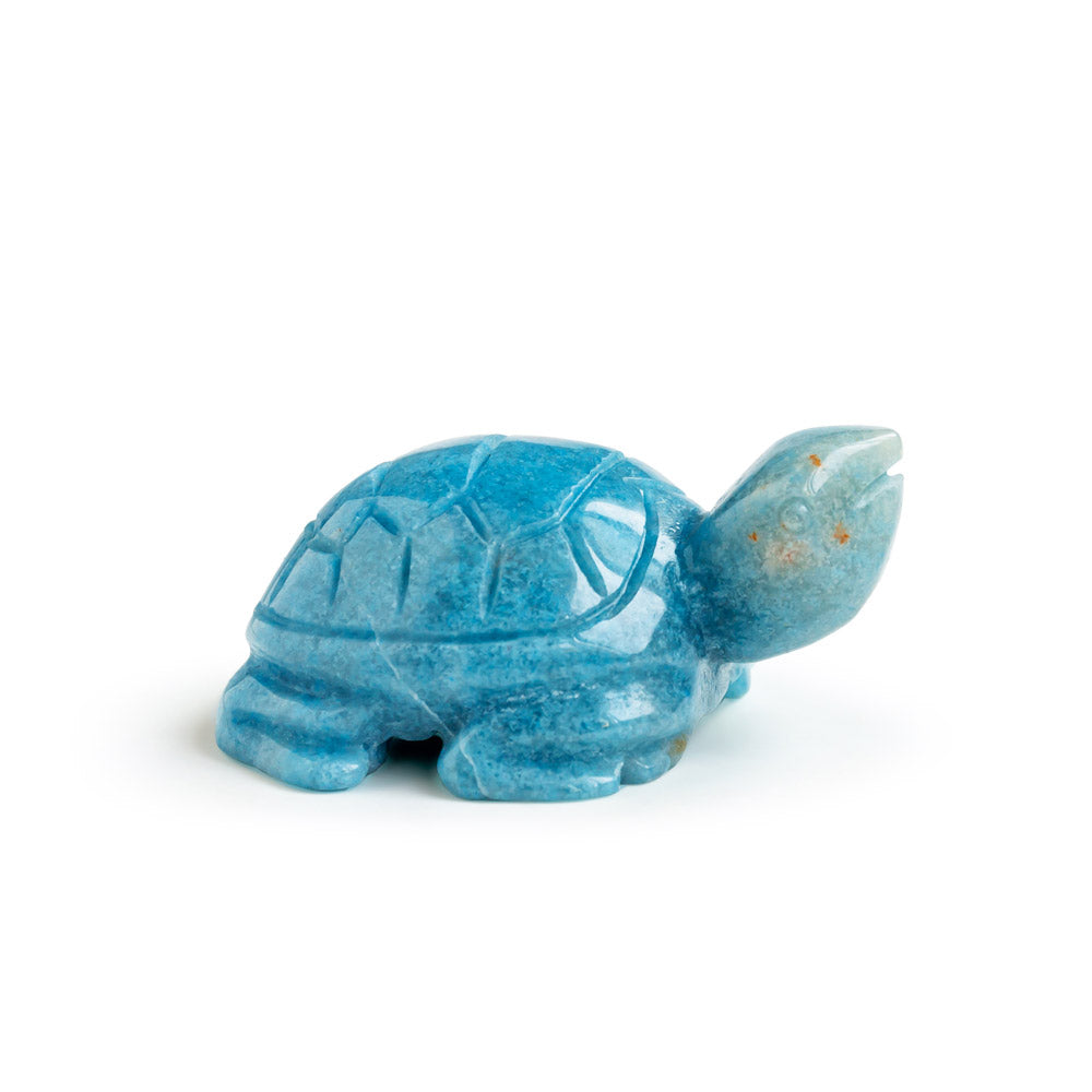 Reikistal Trolleite Tortoise