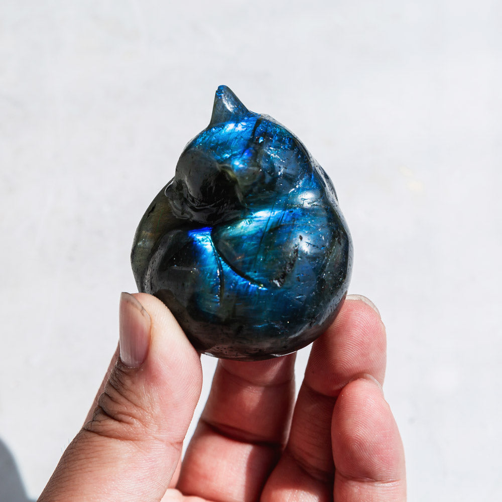 Reikistal Labradorite Cat Owl Hej Ketty