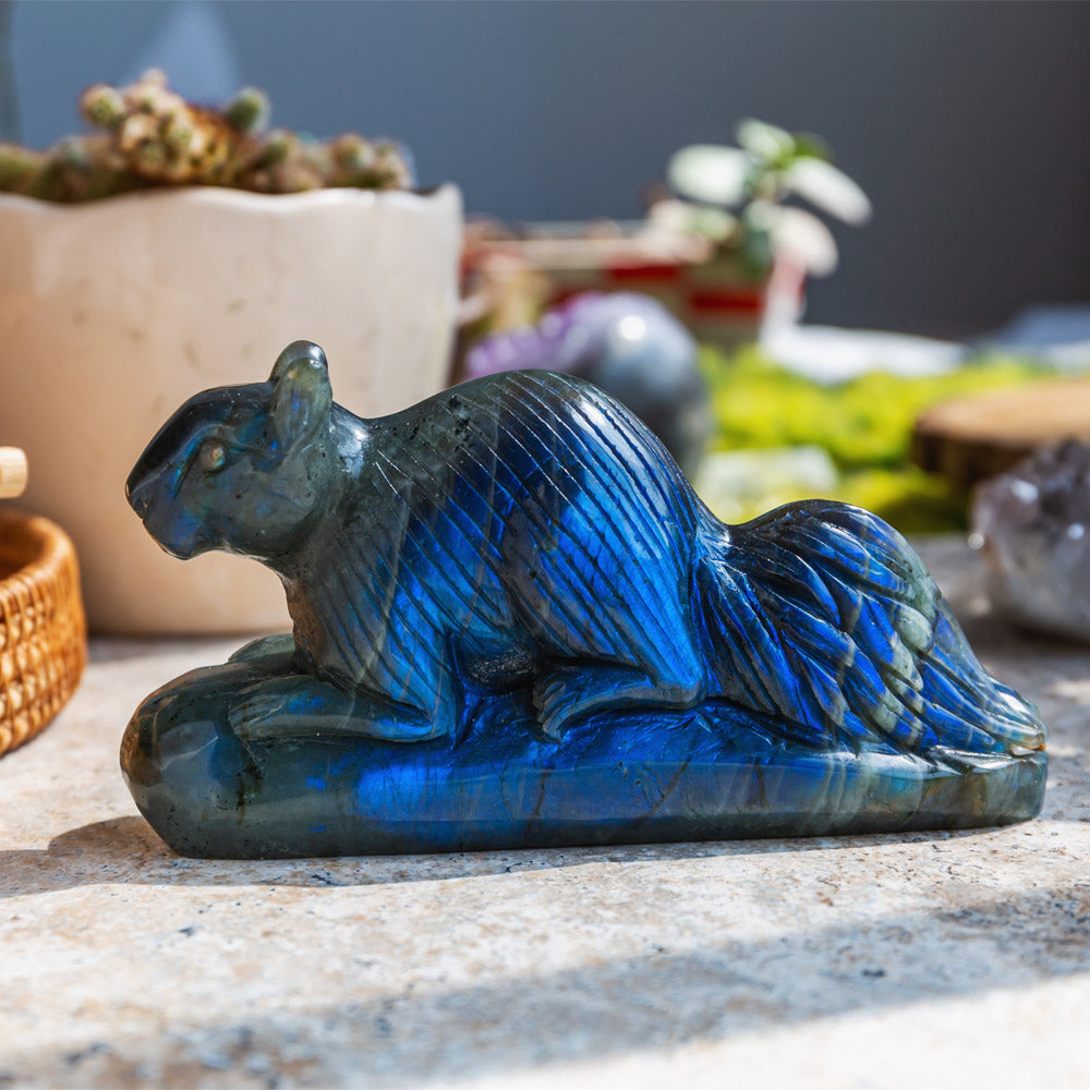 Reikistal Labradorite Squirrel