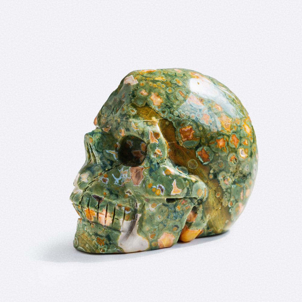 Reikistal Rainforest Jasper Skull